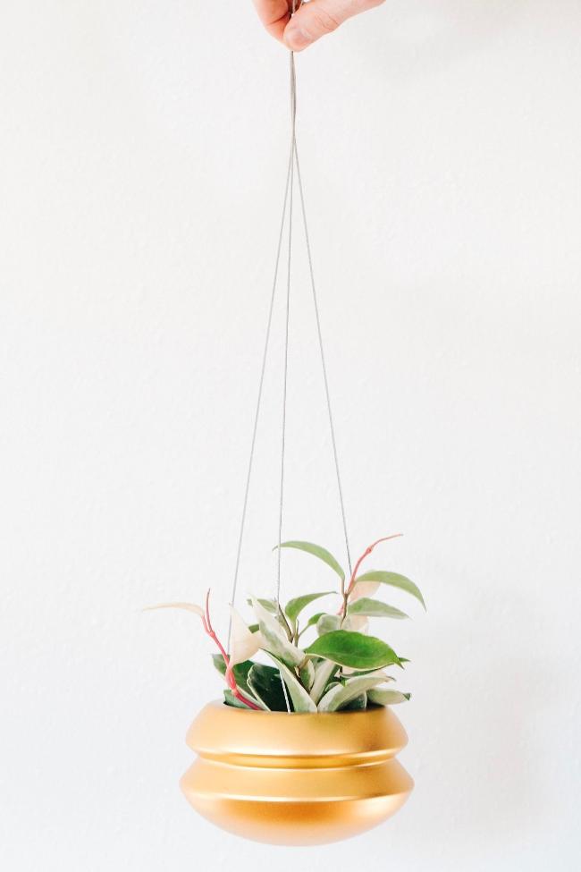 Hanging Planter - Aware House - Carter + Rose - 