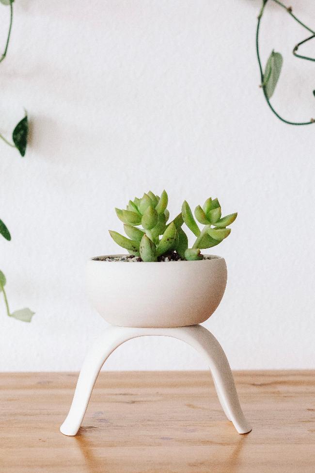 Ceramic Raised Plant Pot-zoom-5