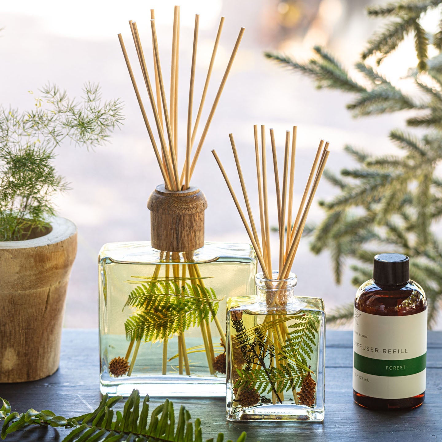 Signature Botanical Reed Diffuser | Forest-zoom-2