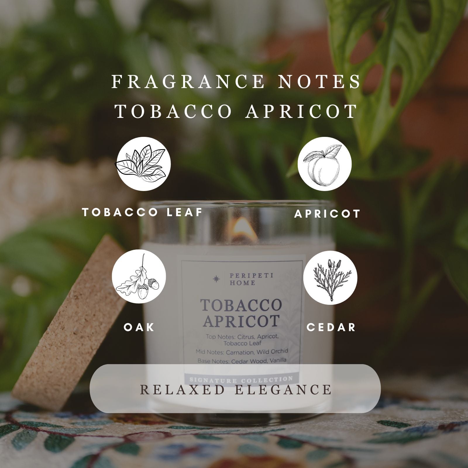 Tobacco Apricot Candle, Wax Melt, Diffuser & Room Spray-zoom-2