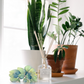 Reed Diffuser |  15+ Scents