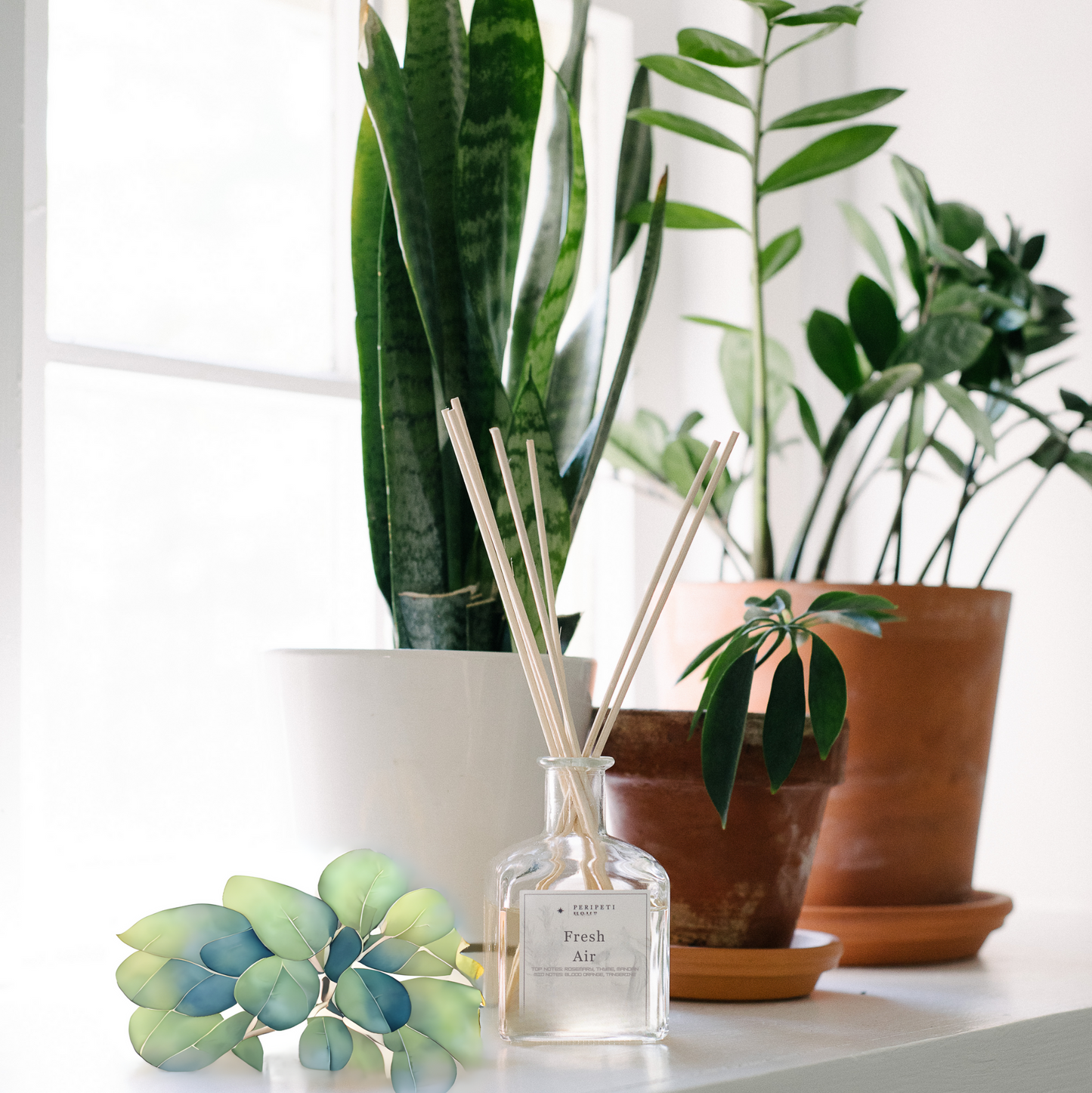 Reed Diffuser |  15+ Scents