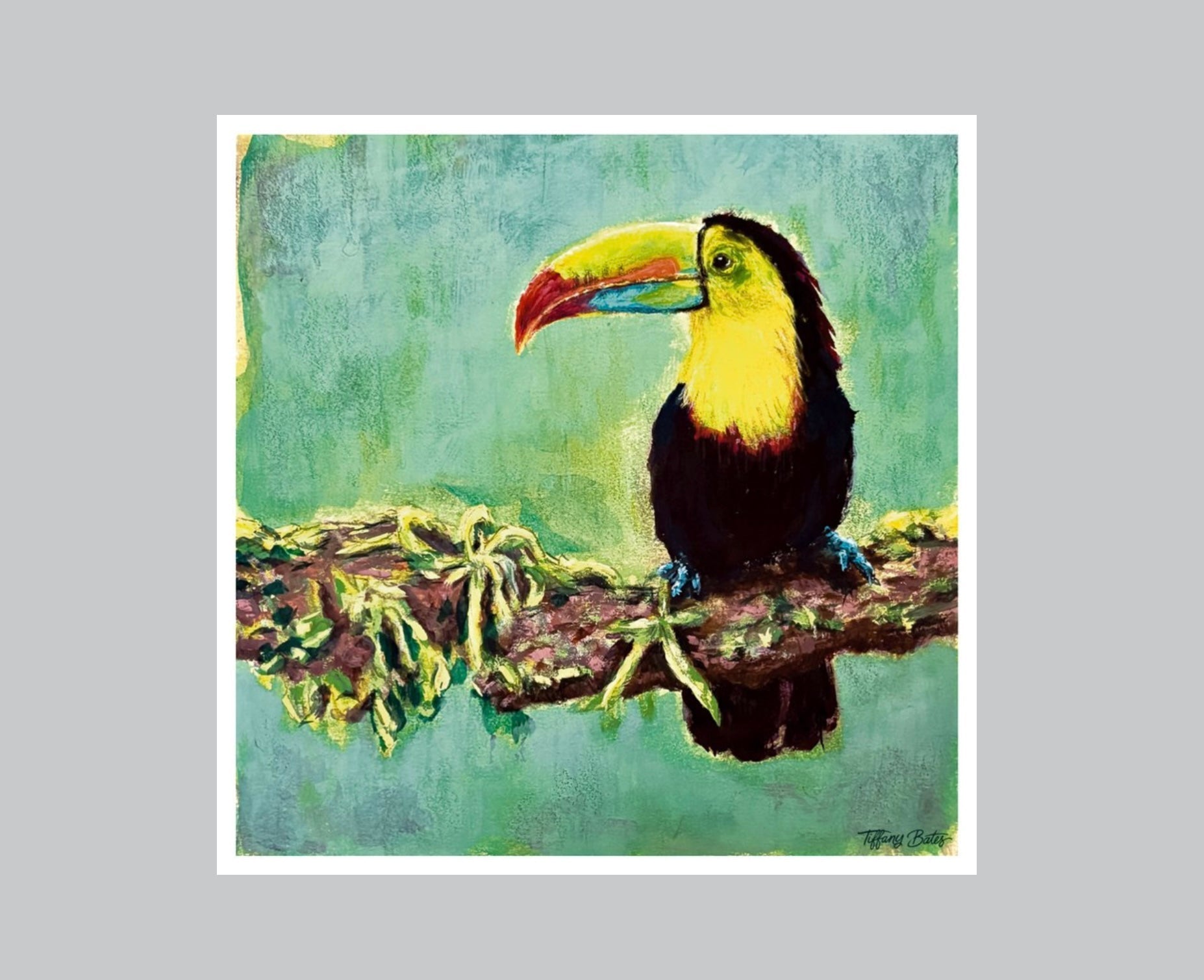 Toucan’s Perch | Fine Art Print-1