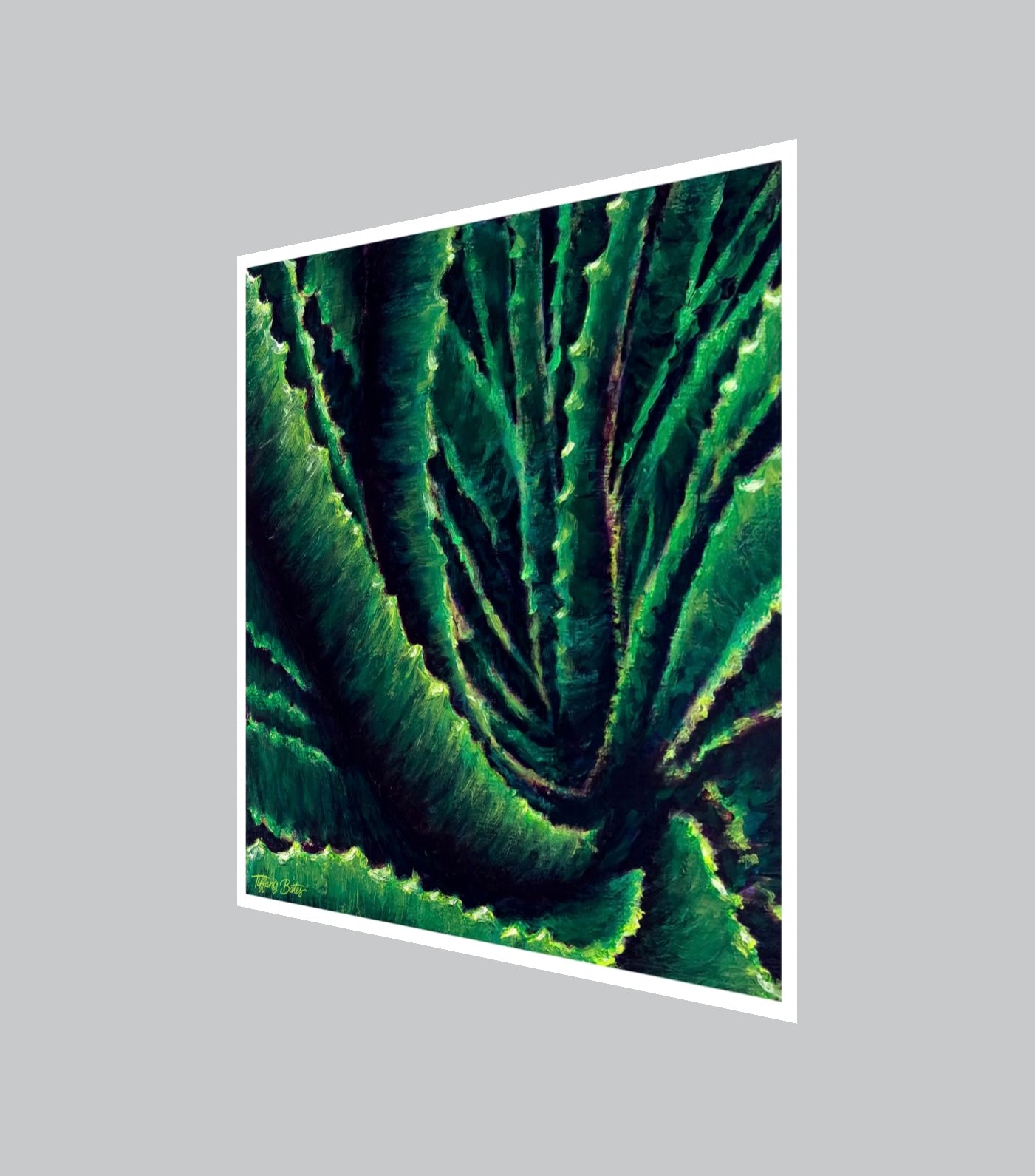 Aloe Confluence | Fine Art Print | Multiple Sizes-2
