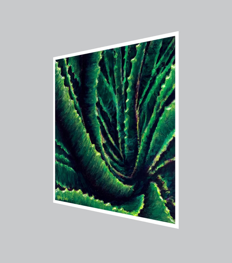 Aloe Confluence | Fine Art Print | Multiple Sizes-zoom-