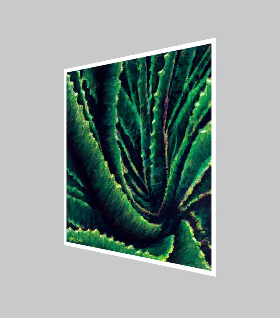 Aloe Confluence | Fine Art Print | Multiple Sizes