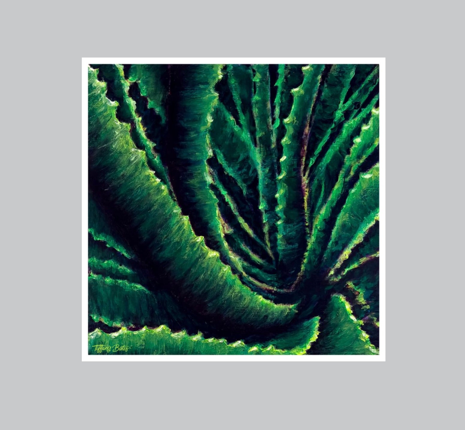 Aloe Confluence | Fine Art Print | Multiple Sizes