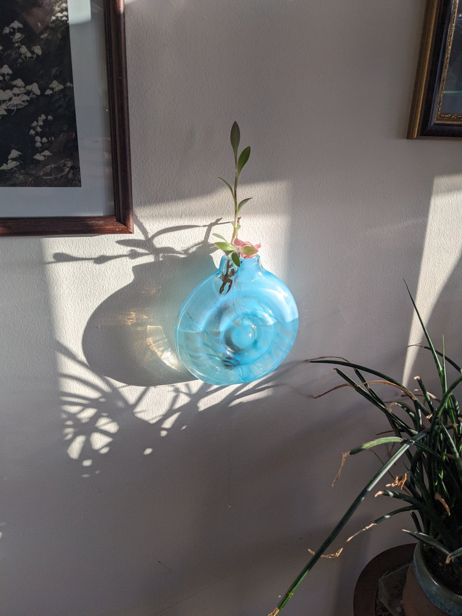 Glacial Blue Hanging Ripple Vase - Aware House