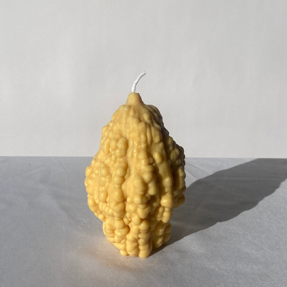 Goosebumps Candle-2