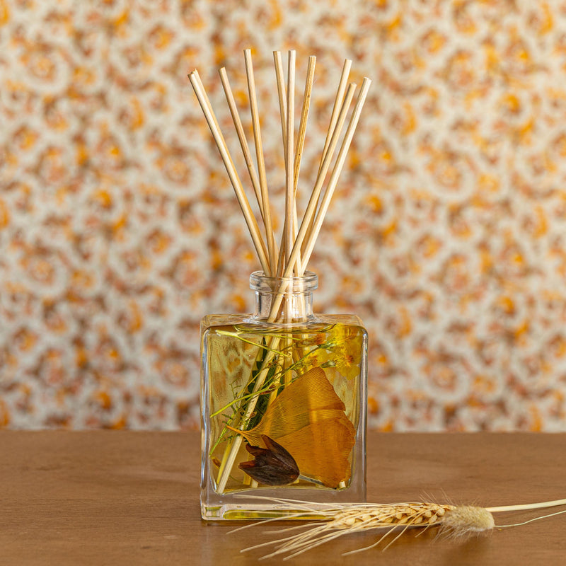 Accent Botanical Reed Diffuser | Harvest Pumpkin-zoom-