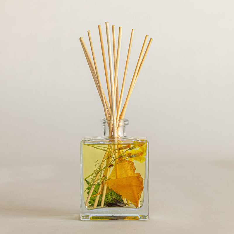 Accent Botanical Reed Diffuser | Harvest Pumpkin-zoom-