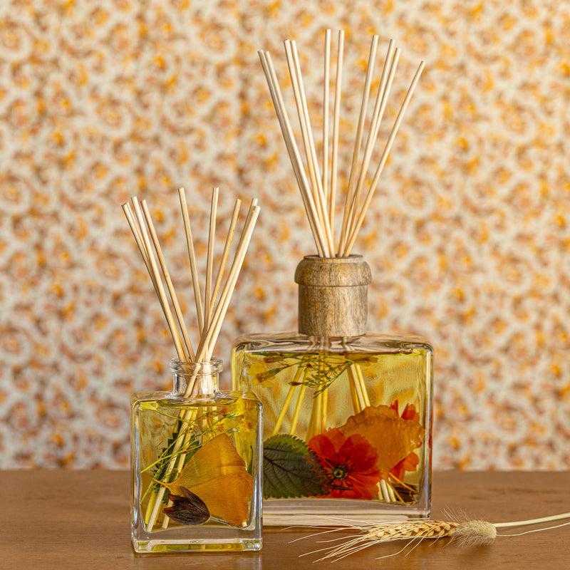 Accent Botanical Reed Diffuser | Harvest Pumpkin-zoom-