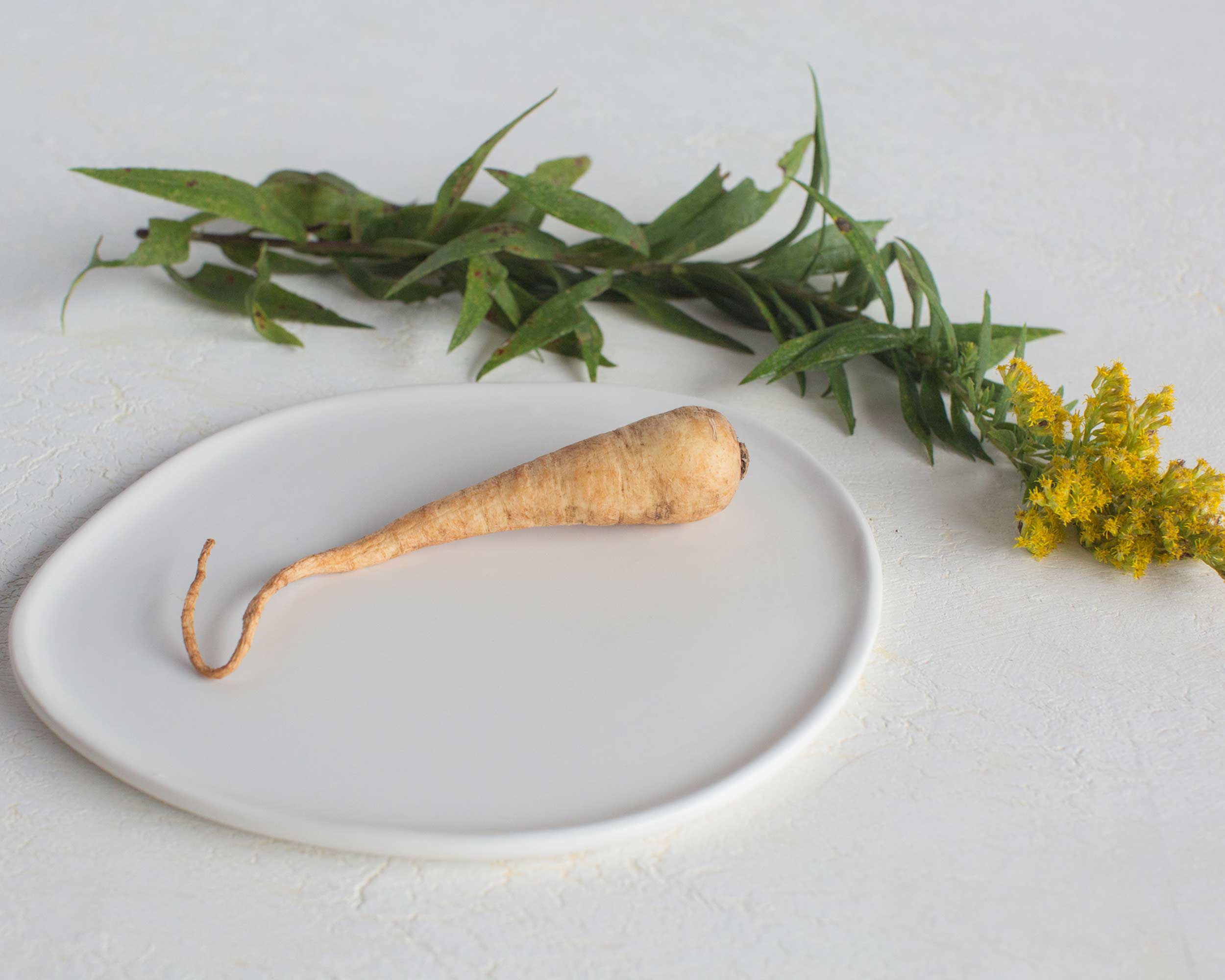 Ripple Salad Plate - Aware House