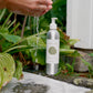 Forest Hand & Body Wash