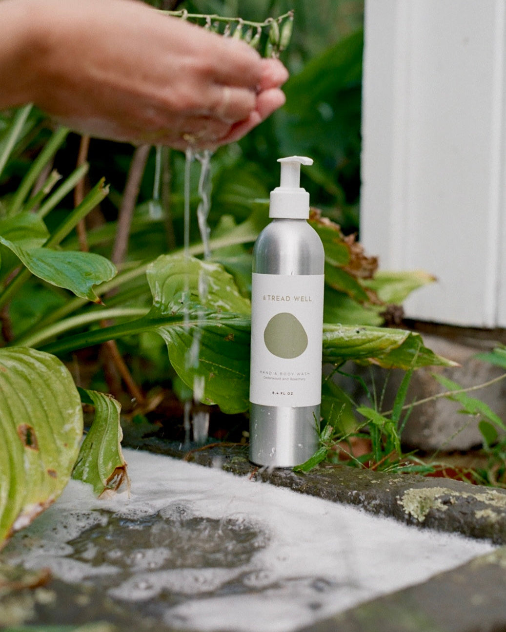 Forest Hand & Body Wash