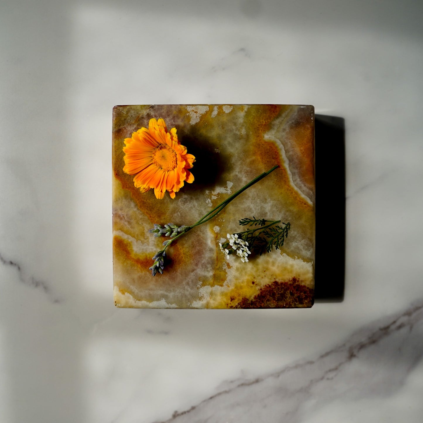 Burn & Bite Botanical Balm