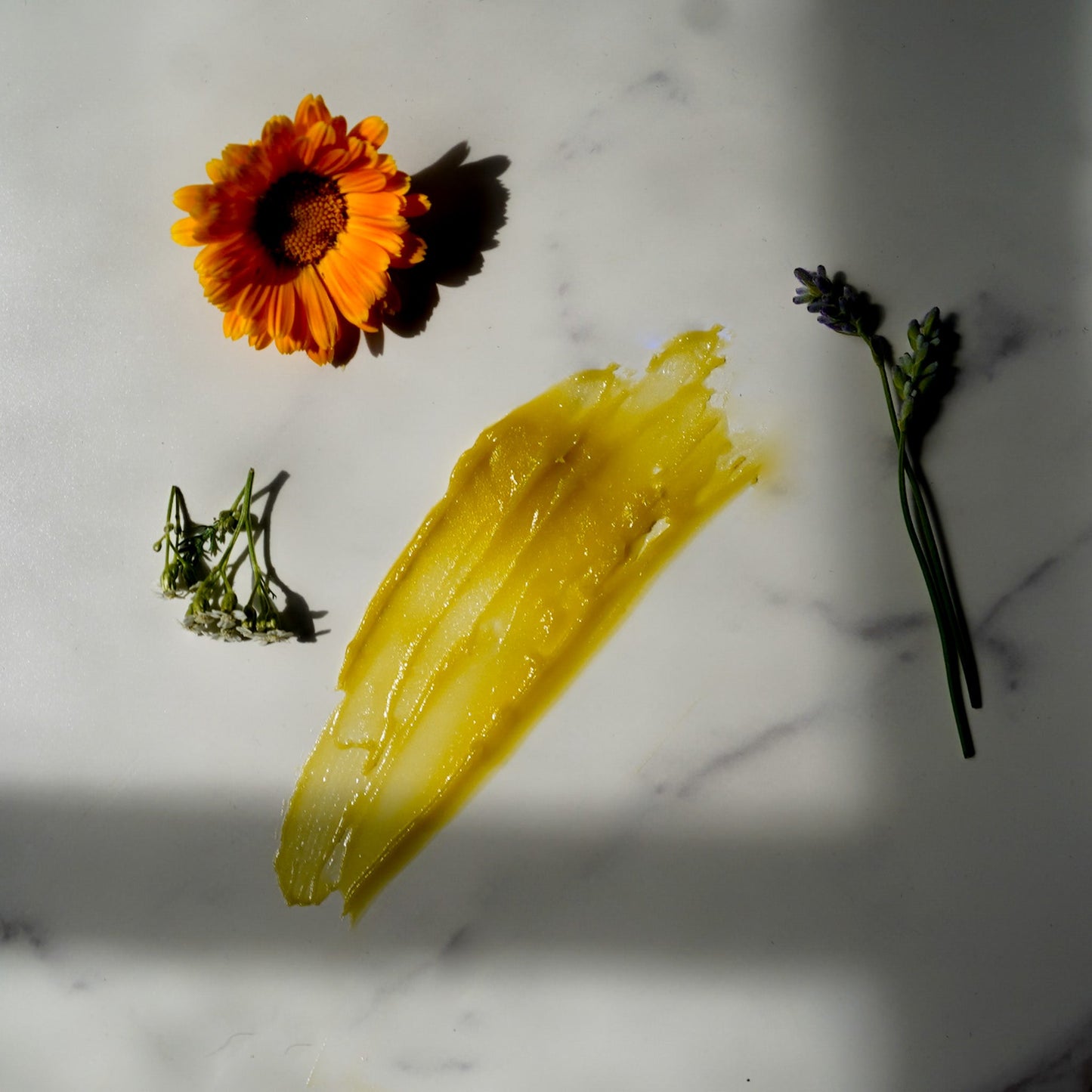 Burn & Bite Botanical Balm