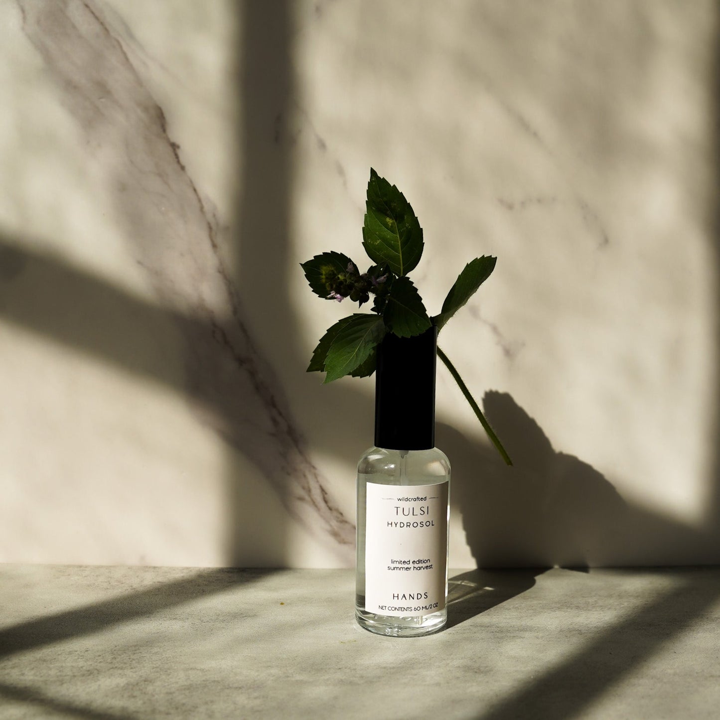Wildcrafted Tulsi Hydrosol | Limited Edition
