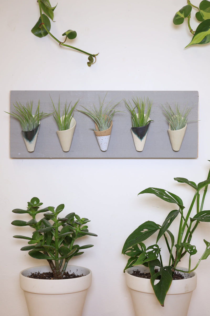 Horizontal Ceramic Wall Planter-zoom-