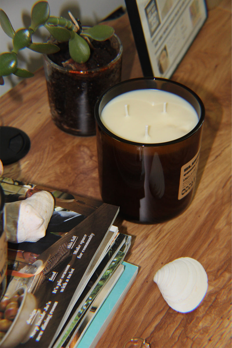 Pumpkin Spice Soy Candle-zoom-