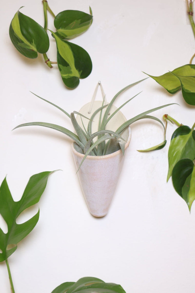 Medium Ceramic Wall Planter-zoom-