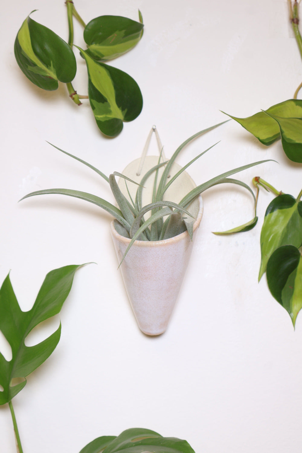 Medium Ceramic Wall Planter-4
