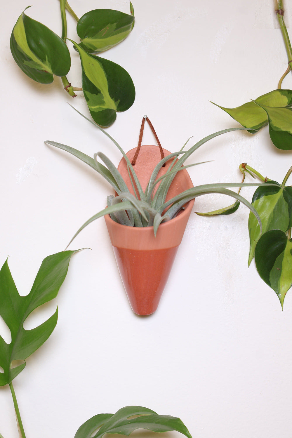 Medium Ceramic Wall Planter-zoom-6
