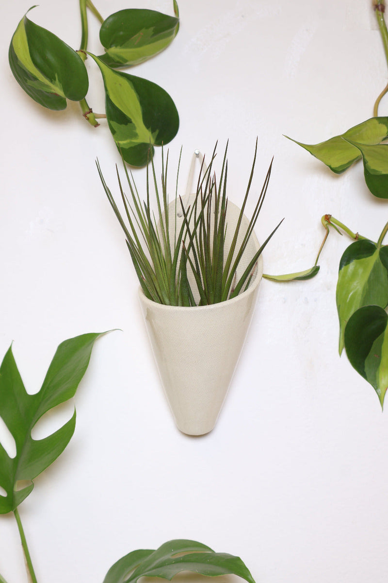 Medium Ceramic Wall Planter-zoom-