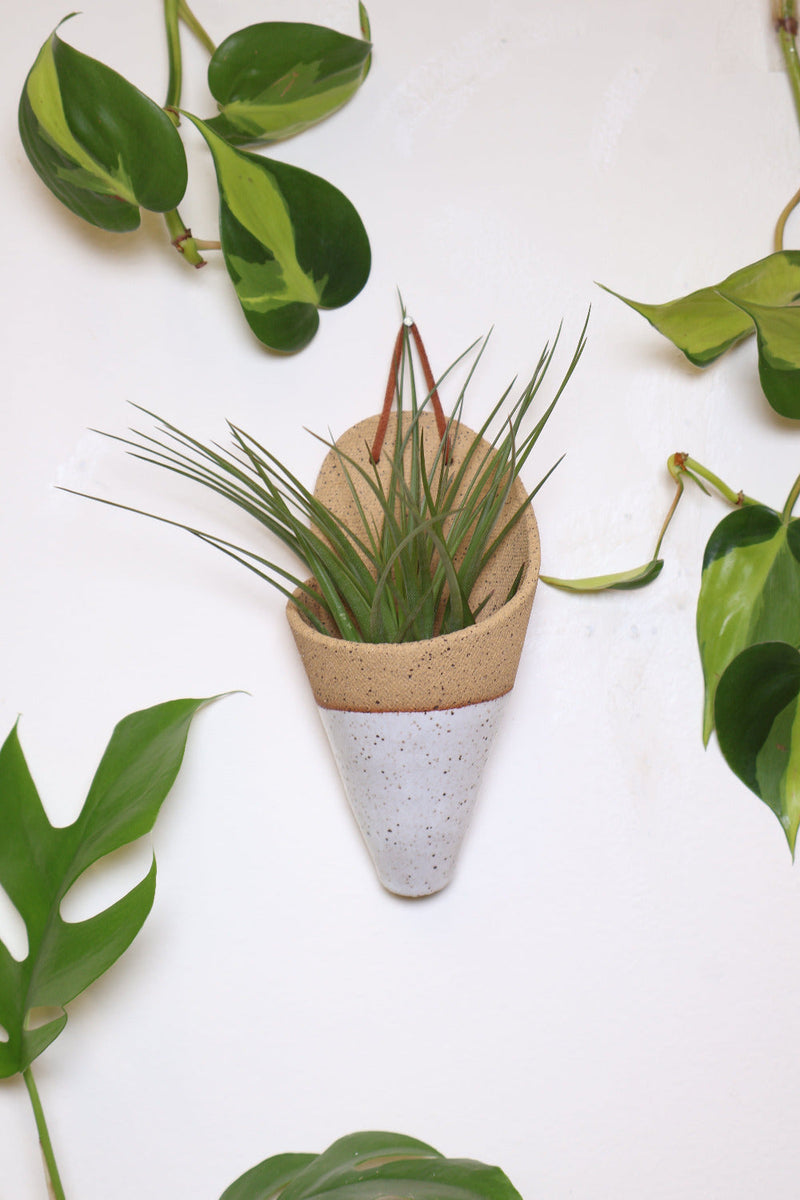 Medium Ceramic Wall Planter-zoom-