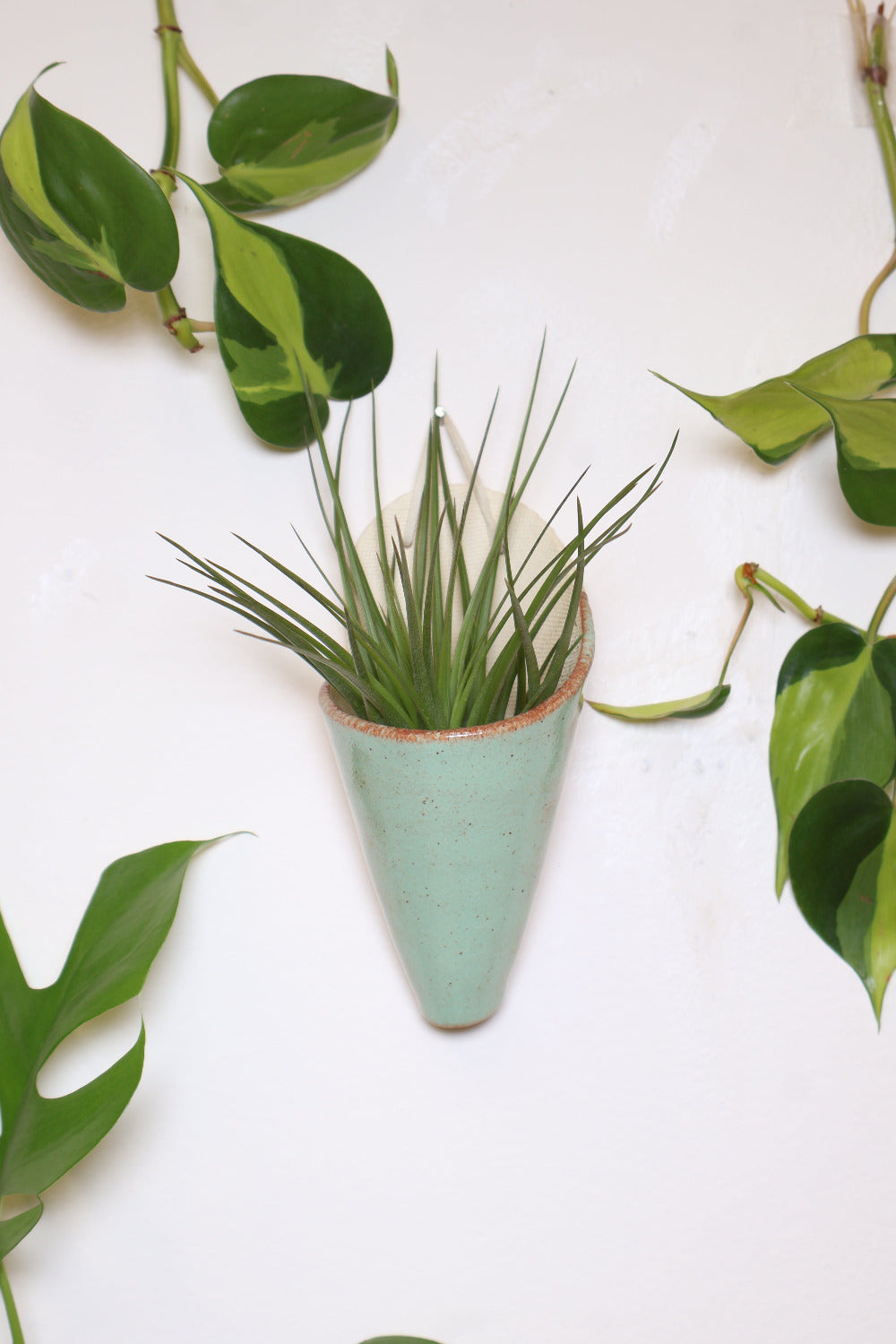 Medium Ceramic Wall Planter-5