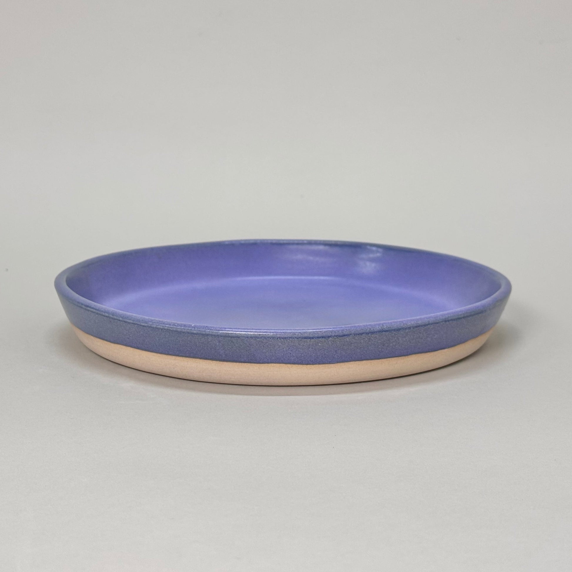 Dinner Plate-4