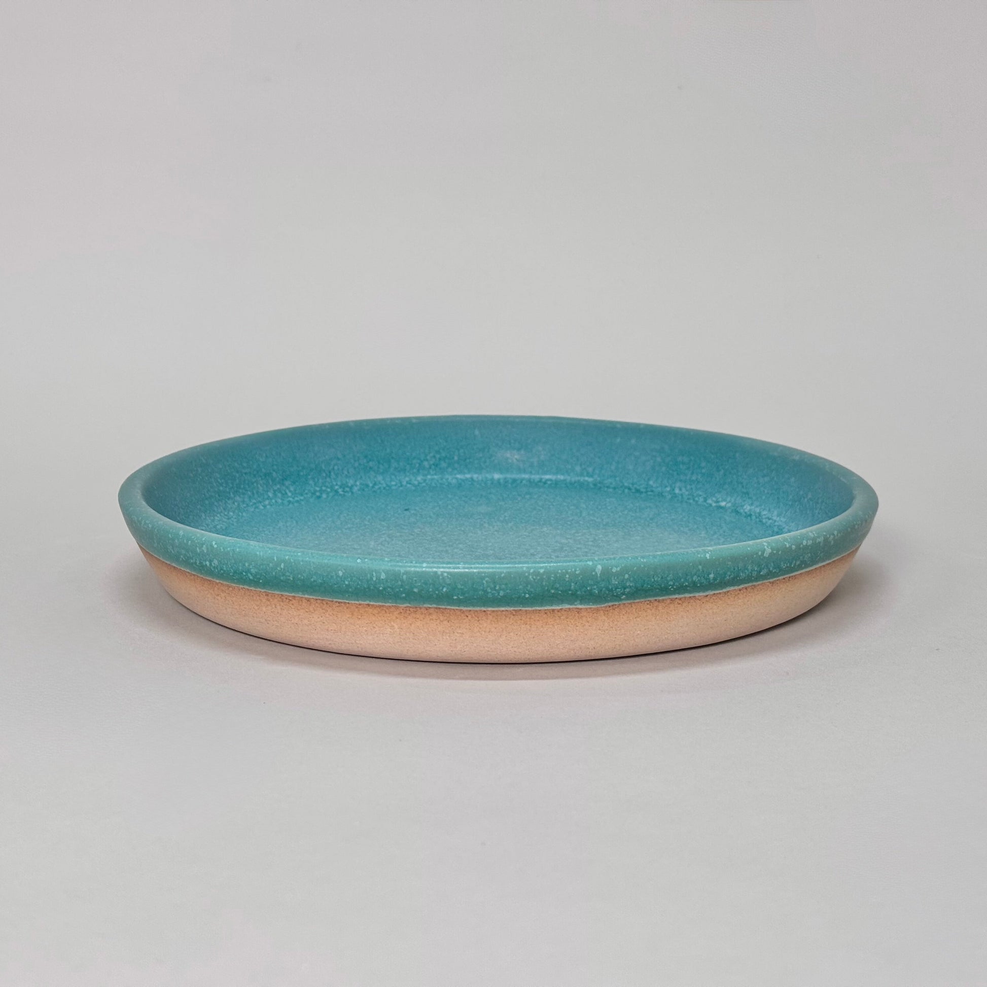 Dinner Plate-7
