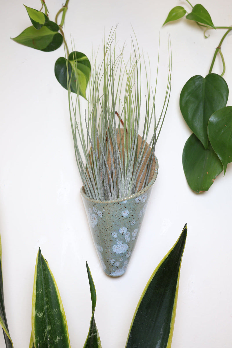 Large Ceramic Wall Planter-zoom-