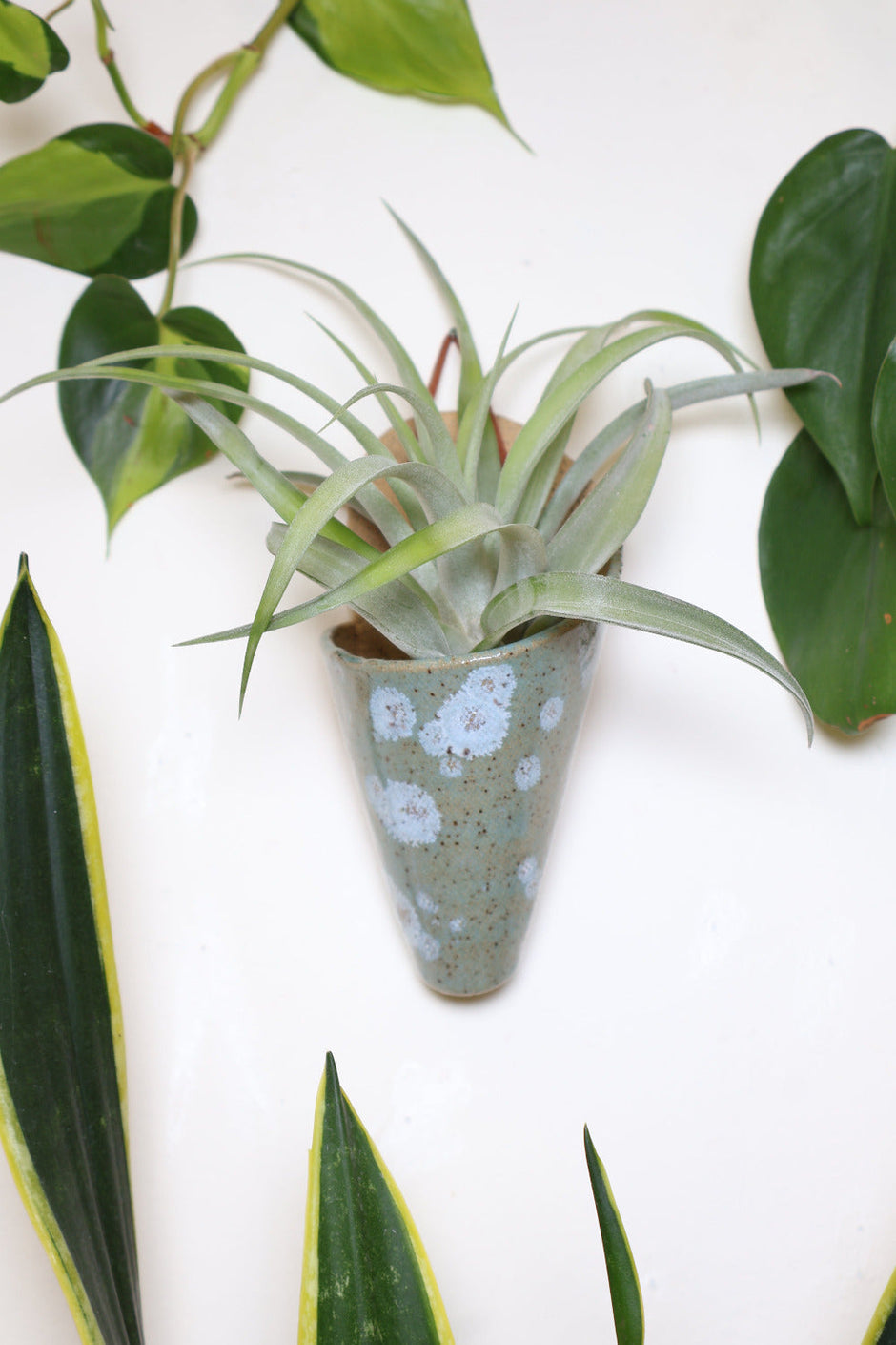Medium Ceramic Wall Planter