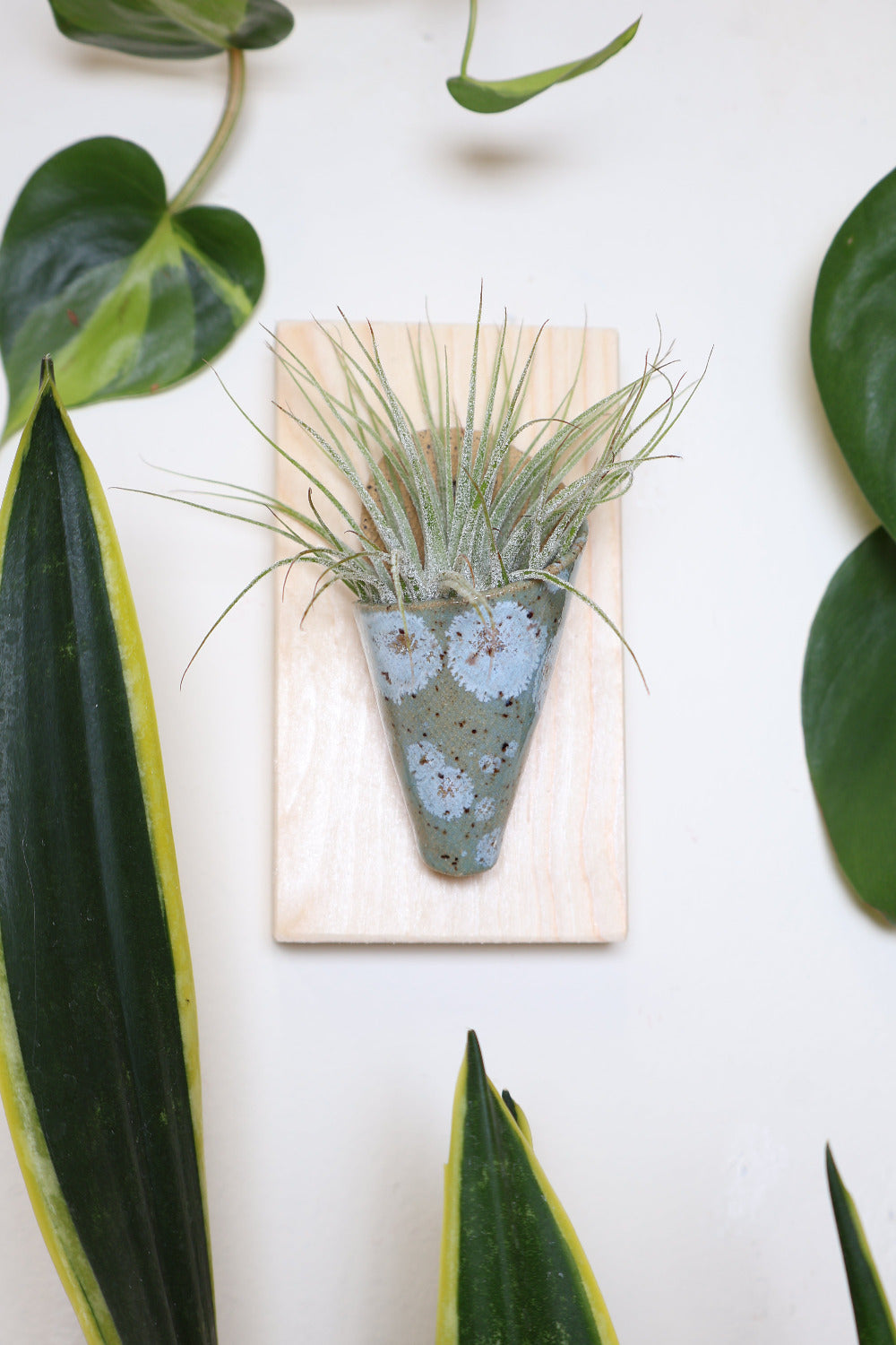 Tiny Ceramic Wall Planter-zoom-7