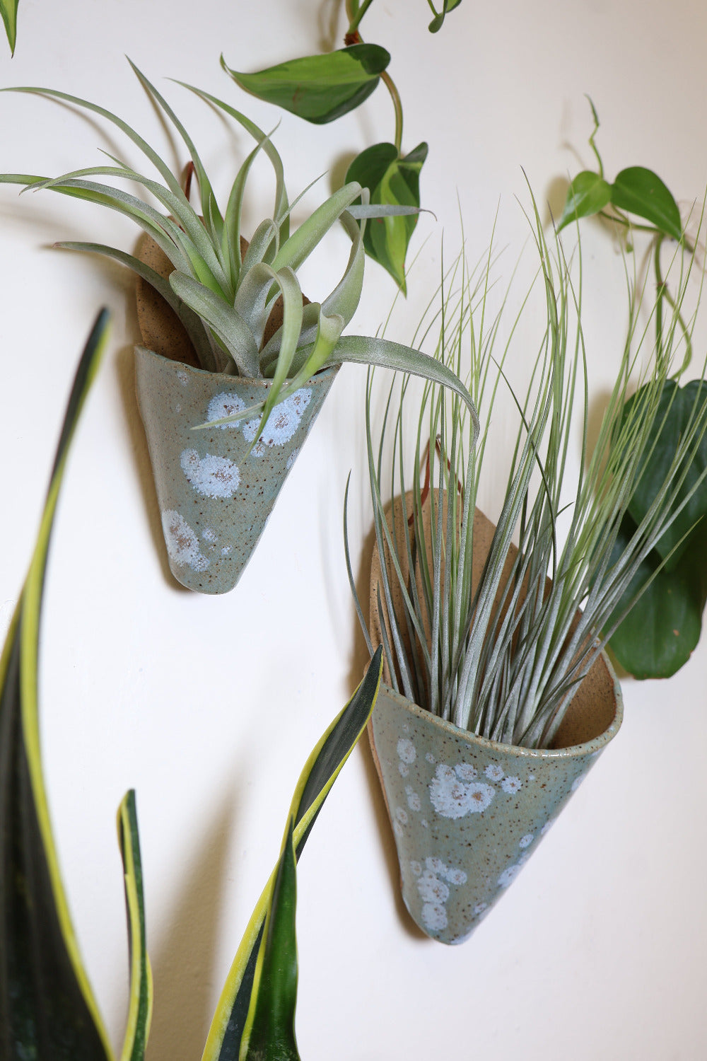 Medium Ceramic Wall Planter-zoom-12