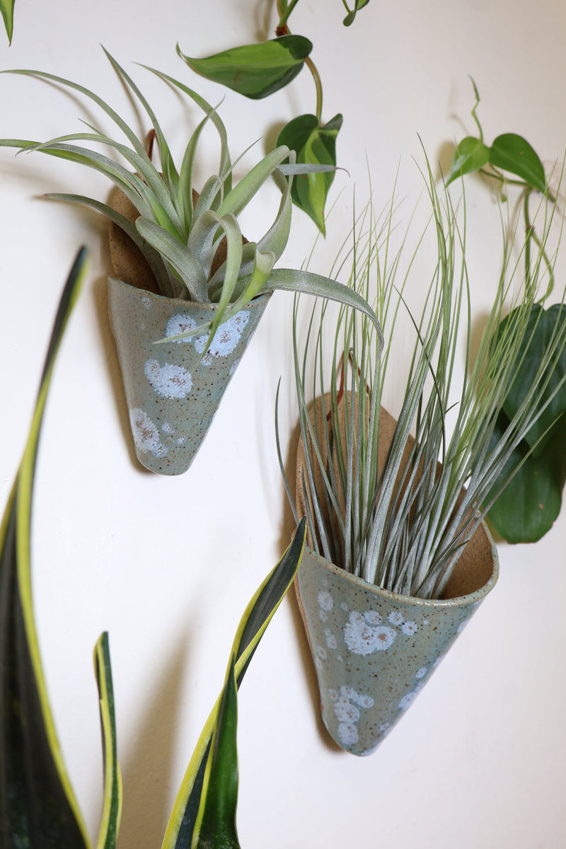 Medium Ceramic Wall Planter-zoom-