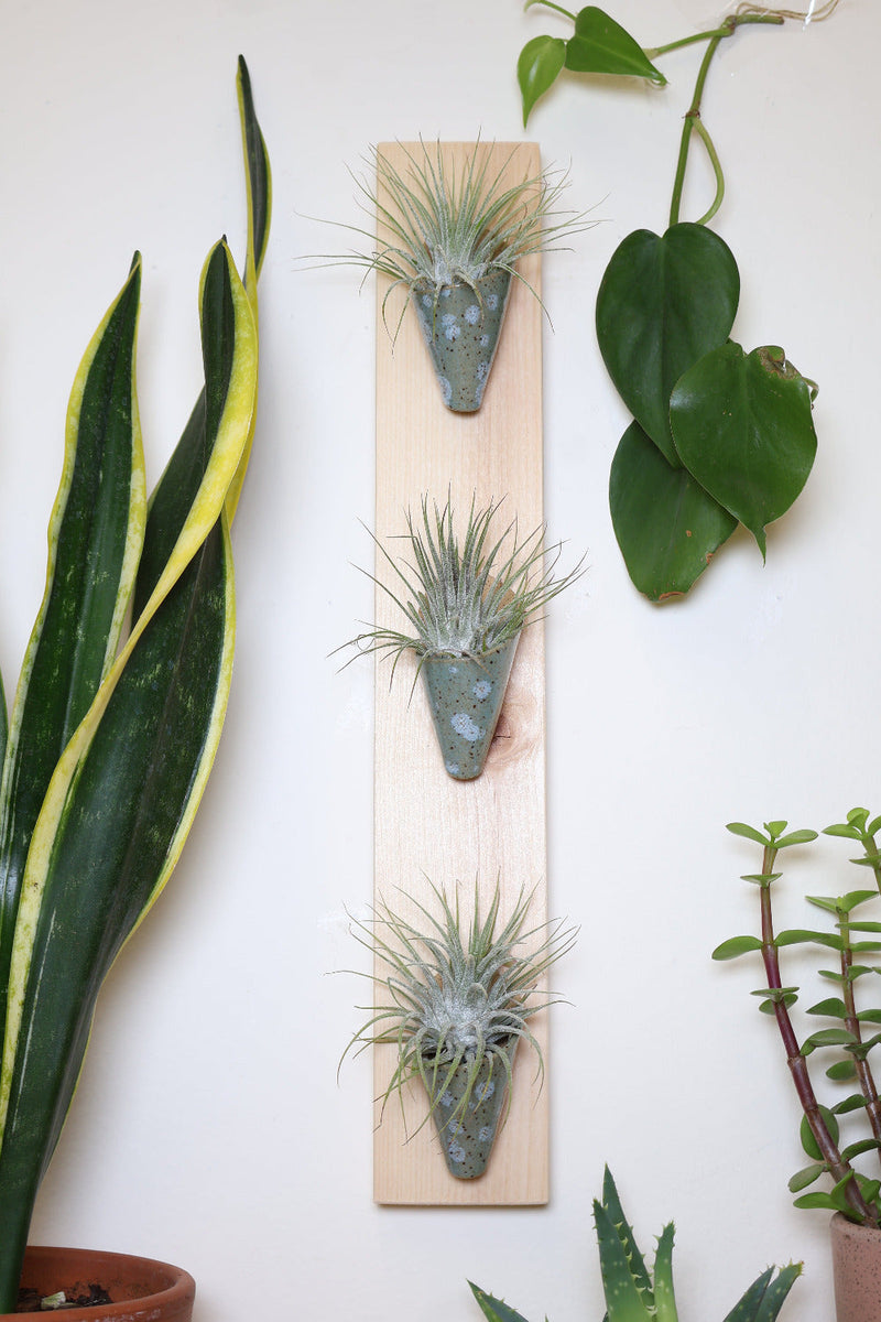 Triple Ceramic Wall Planter-zoom-