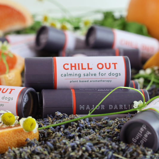 Chill Out Dog Calming Salve