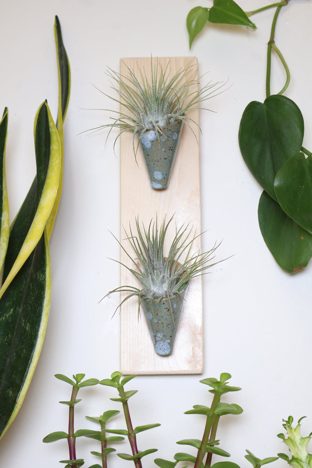Double Ceramic Wall Planter-zoom-1