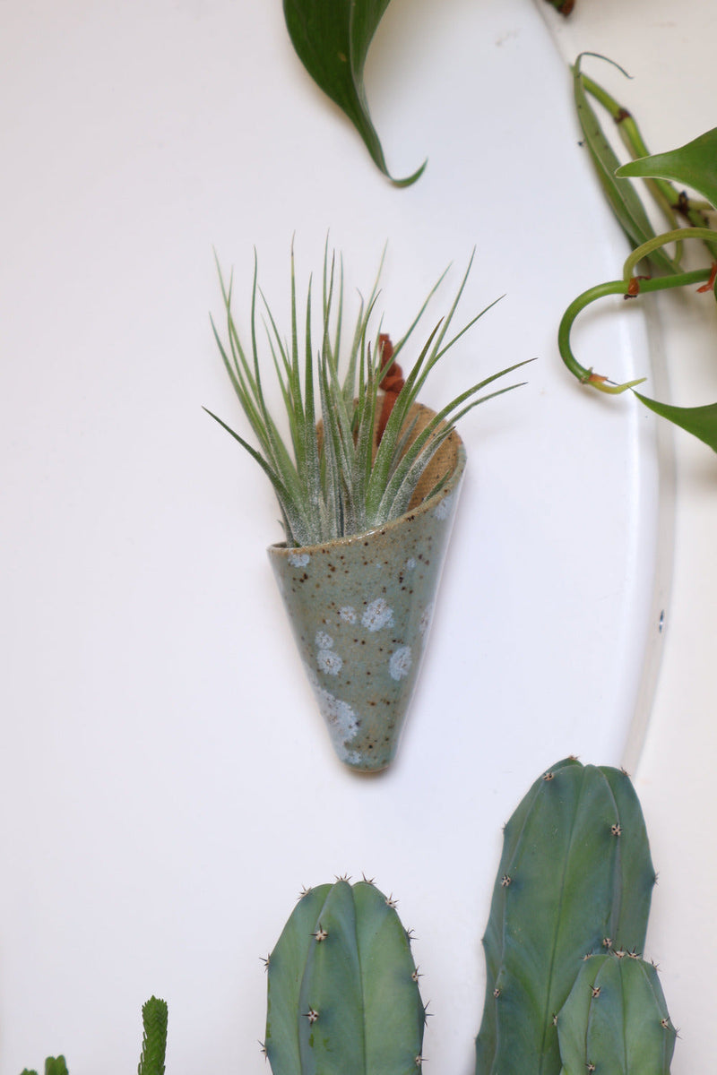 Mini Wall Planter Magnet-zoom-