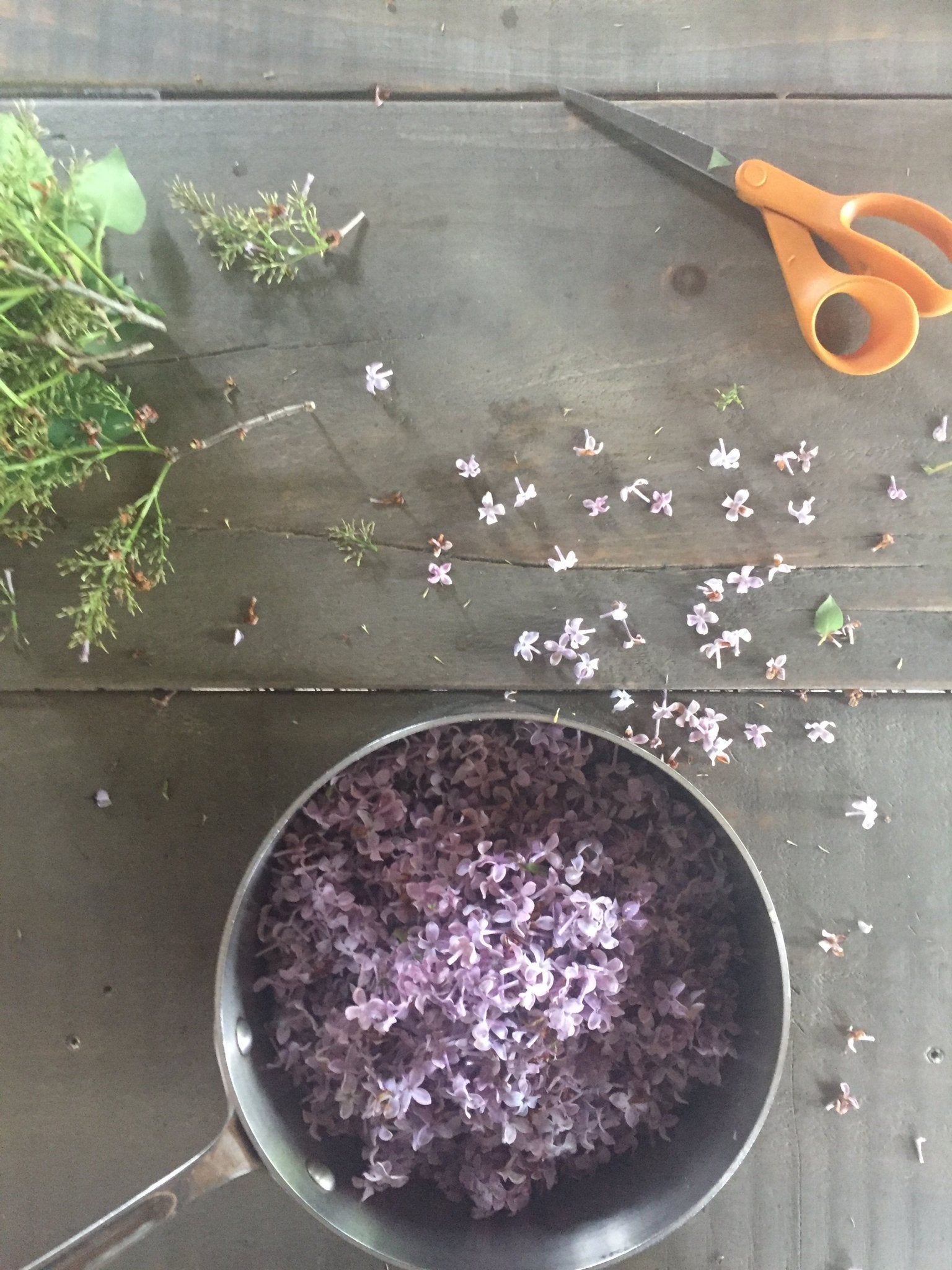 Face Mist & Toner | Chaga, Lilac & Peony, Signature - Aware House