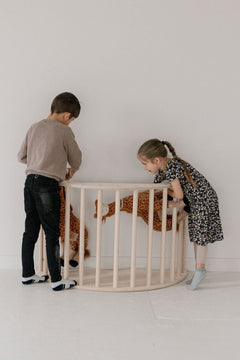 Arch Activity Gym Set | Montessori Climbing Arch & Play Set - Aware House