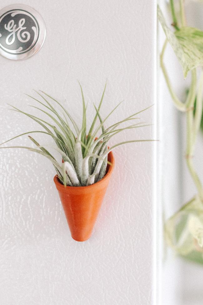 Mini Wall Planter Magnet-2