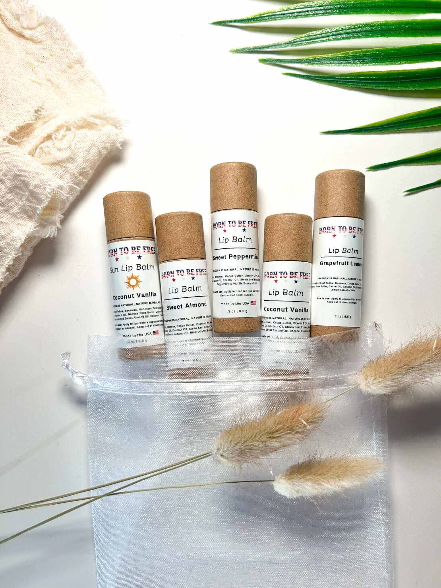 Born To Be Free Lip Balm Bundle-1