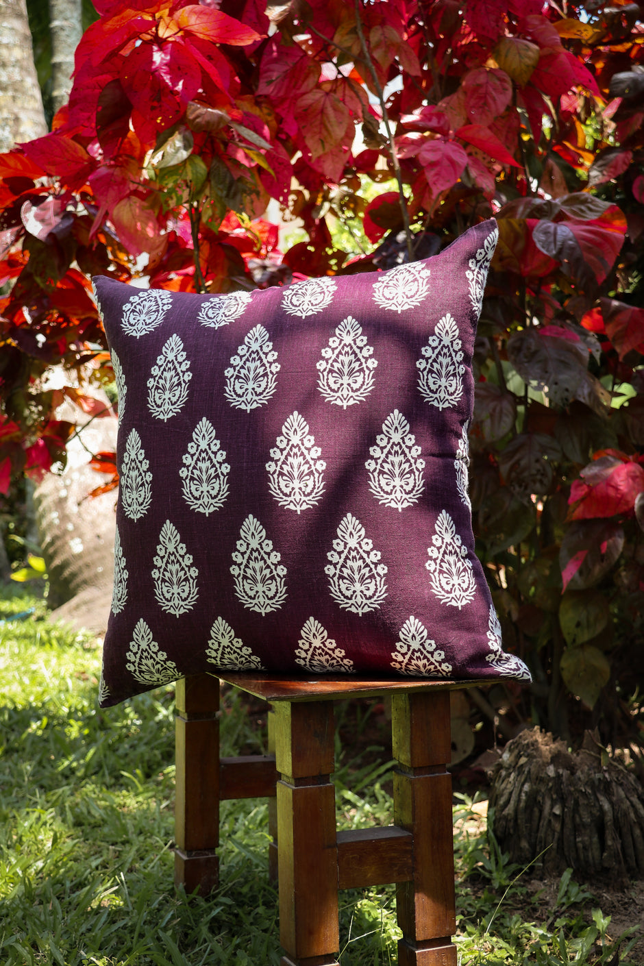 Paan Throw Pillow Cover  (Set of 2)