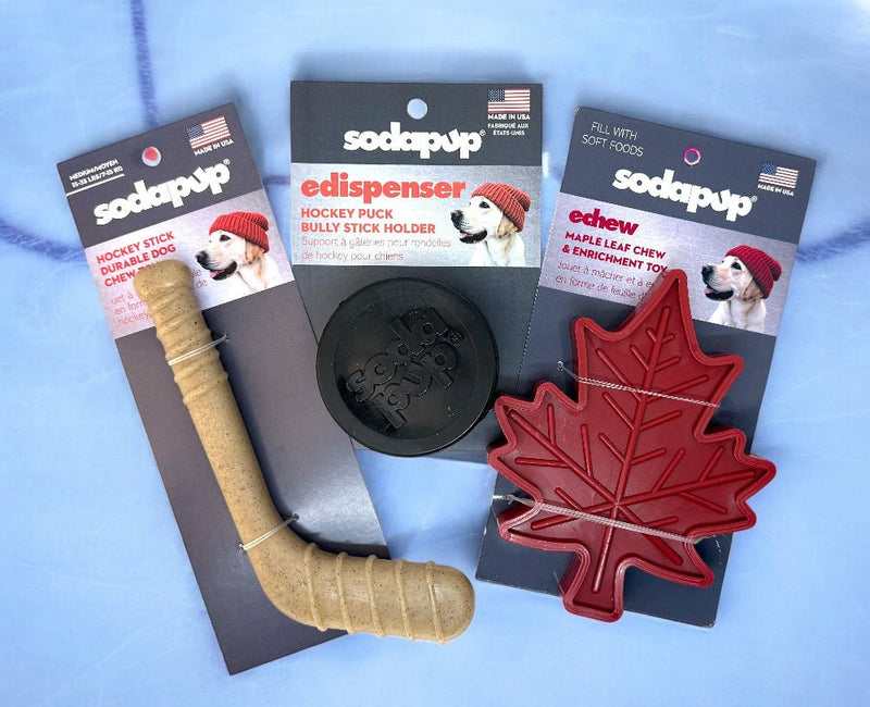 Hockey Stick Nylon Dog Chew Toy-zoom-