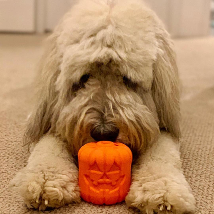 Jack O' Lantern Dog Toy - Durable Halloween Chew Toy for Large Dogs | USA Made-zoom-