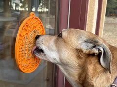 Camp Lick Mat for Dogs and Cats - Aware House