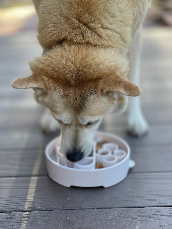 Java eBowl Deep Slow Feeder Dog Bowl-zoom-